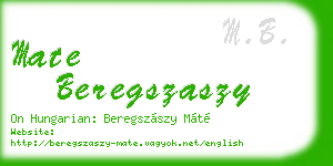 mate beregszaszy business card